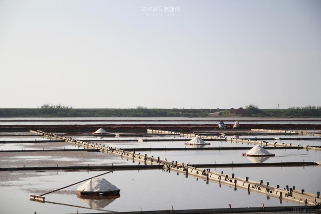 井仔腳瓦盤鹽田-4