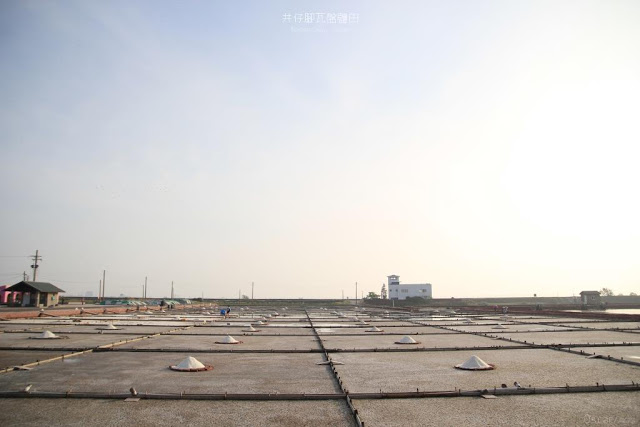 井仔腳瓦盤鹽田-25