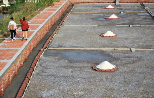 井仔腳瓦盤鹽田-29