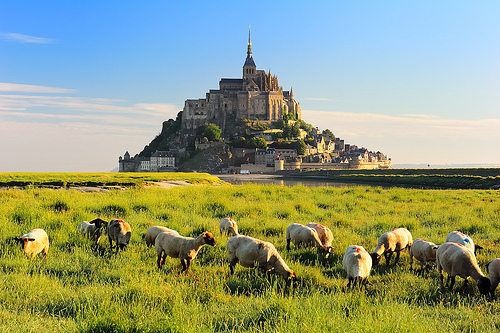 普拉嬤嬤 LA MÉRE POULARD CAFÉ:【捷運忠孝敦化】傳承百年的法國料理 — 普拉嬤嬤 LA MÉRE POULARD CAFÉ