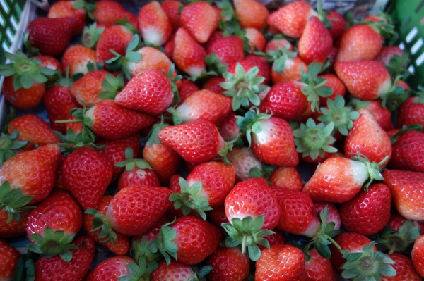 cm20140207___1442c5b3541d360f7267e27896f