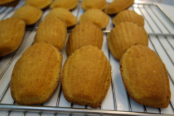 cm20140207___716f29bcff7c013bb61c87e678f