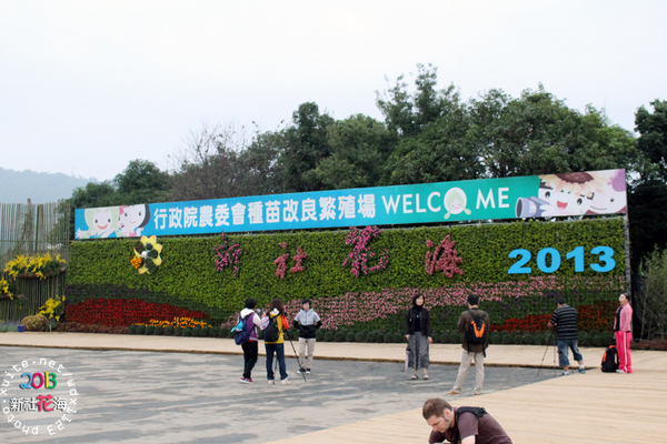 台中新社花海:2013新社花海「花間 漫遊 樂悠遊」✪我又來嘍❤波斯菊超美的啦~102.11.16