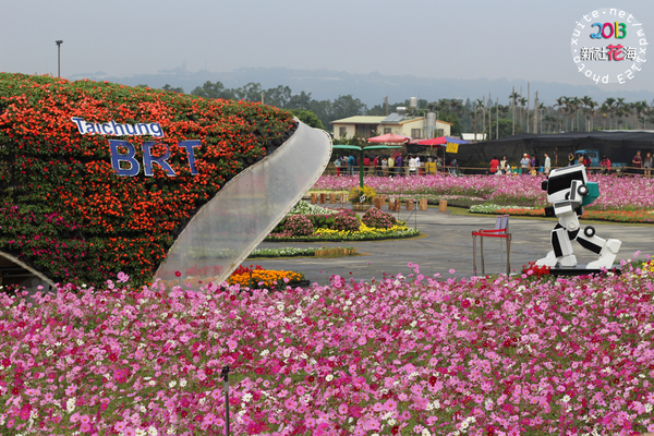 台中新社花海:2013新社花海「花間 漫遊 樂悠遊」✪我又來嘍❤波斯菊超美的啦~102.11.16
