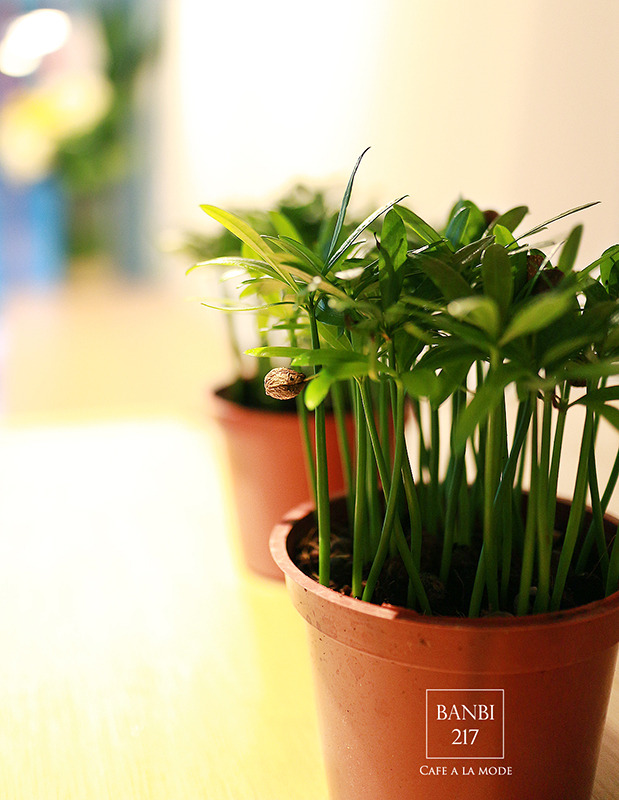 Banbi217 美食旅遊:Cafe a la mode 中山店 :南京商圈新開幕的設計感好店(義大利麵,燉飯,沙拉,法式布丁吐司,商業午餐,早午餐brunch,下午茶,捷運中山站)