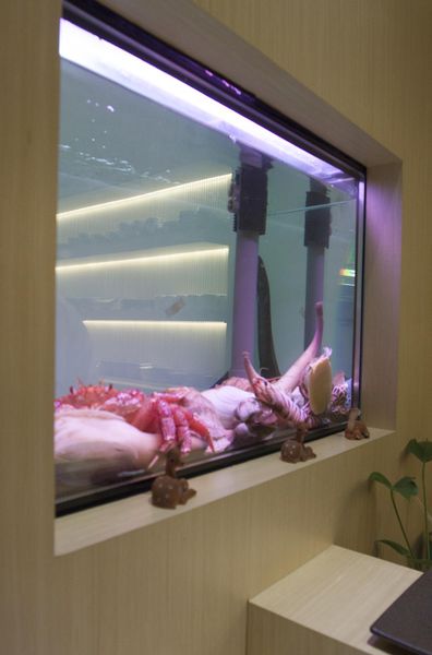 鹿羣日本料理 - 36