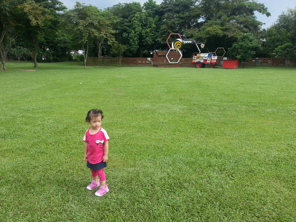 古坑綠色隧道：[雲林][景點]古坑綠色隧道+蜜蜂故事館半日遊~假日踩街好好玩
