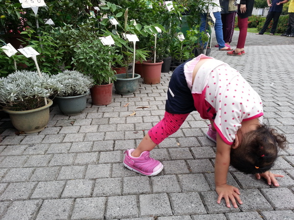 古坑綠色隧道：[雲林][景點]古坑綠色隧道+蜜蜂故事館半日遊~假日踩街好好玩