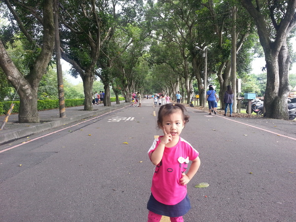 古坑綠色隧道：[雲林][景點]古坑綠色隧道+蜜蜂故事館半日遊~假日踩街好好玩