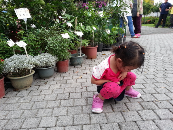 古坑綠色隧道：[雲林][景點]古坑綠色隧道+蜜蜂故事館半日遊~假日踩街好好玩