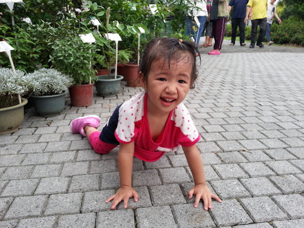 古坑綠色隧道：[雲林][景點]古坑綠色隧道+蜜蜂故事館半日遊~假日踩街好好玩