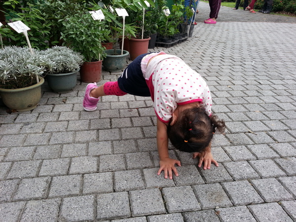 古坑綠色隧道：[雲林][景點]古坑綠色隧道+蜜蜂故事館半日遊~假日踩街好好玩