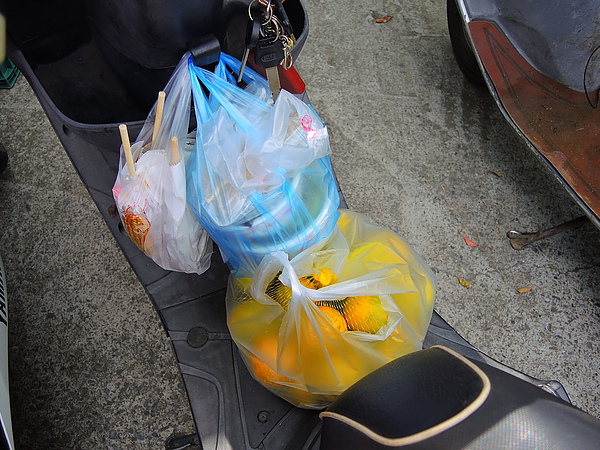 古坑綠色隧道：(遊記) 2013 古坑綠色隧道咖啡節