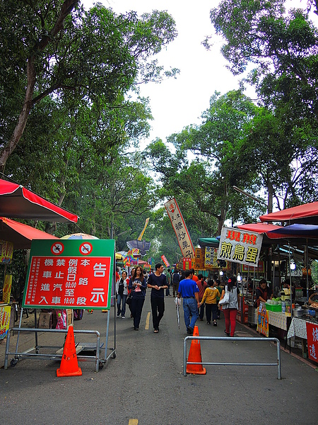 古坑綠色隧道：(遊記) 2013 古坑綠色隧道咖啡節