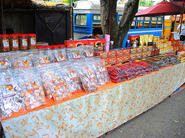 古坑綠色隧道：(遊記) 2013 古坑綠色隧道咖啡節