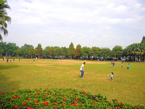 古坑綠色隧道：(遊記) 2013 古坑綠色隧道咖啡節