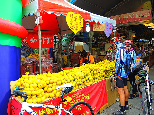 古坑綠色隧道：(遊記) 2013 古坑綠色隧道咖啡節