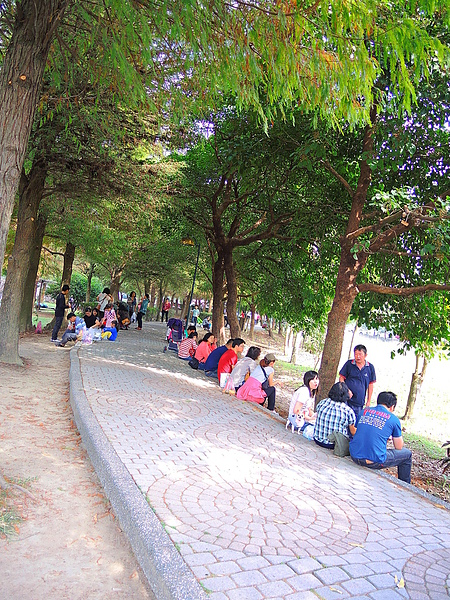 古坑綠色隧道：(遊記) 2013 古坑綠色隧道咖啡節