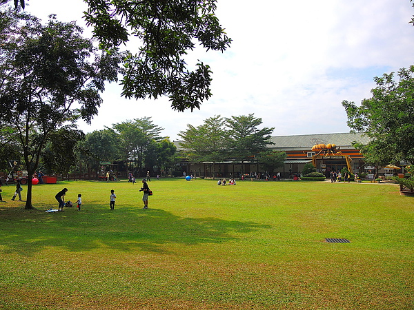 古坑綠色隧道：(遊記) 2013 古坑綠色隧道咖啡節