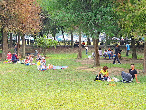 古坑綠色隧道：(遊記) 2013 古坑綠色隧道咖啡節