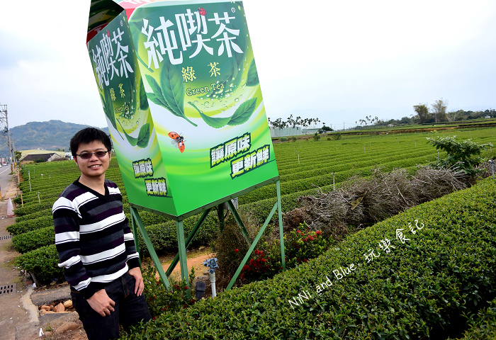 南投茶二指48.jpg