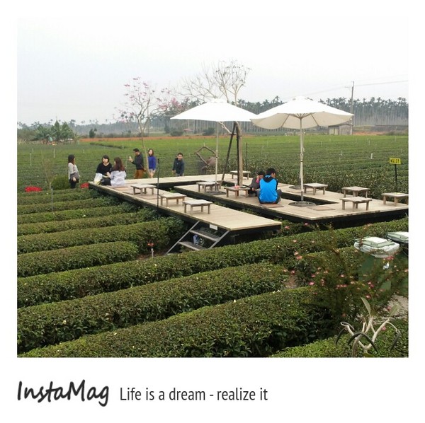 茶二指故事館:茶二指故事館