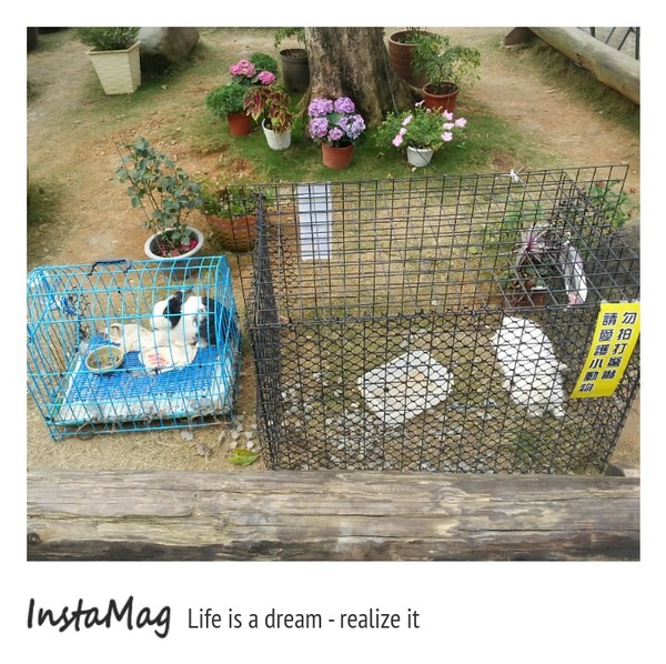 茶二指故事館:茶二指故事館