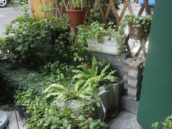 心仙草園：1021028[官本金文愛台灣口碑券第11彈]草綠色系心仙草園的仙草雞湯好吃到會讓神仙都想草上飛料理超級有創意