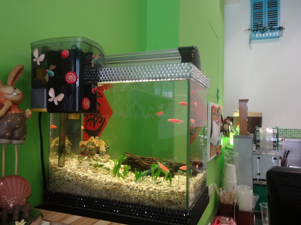 心仙草園：1021028[官本金文愛台灣口碑券第11彈]草綠色系心仙草園的仙草雞湯好吃到會讓神仙都想草上飛料理超級有創意