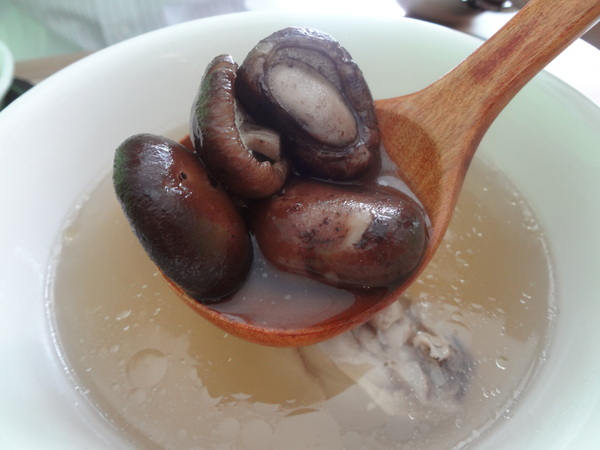 心仙草園：1021028[官本金文愛台灣口碑券第11彈]草綠色系心仙草園的仙草雞湯好吃到會讓神仙都想草上飛料理超級有創意