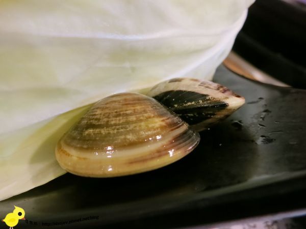 台北-石神石頭火鍋-雙連捷運站旁的火鍋-石頭火鍋-雪花牛肉-咖哩火鍋