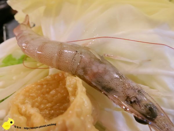 台北-石神石頭火鍋-雙連捷運站旁的火鍋-石頭火鍋-雪花牛肉-咖哩火鍋