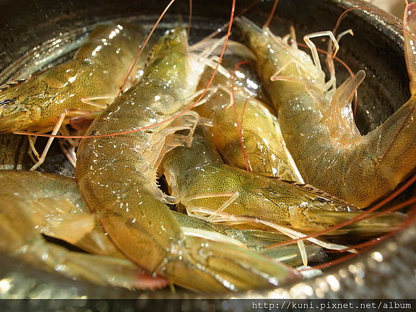 GRD3 25012014 鍋媽媽 (14).JPG