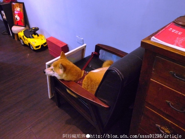 台南艾咖啡：【美食特搜。台南中西區】艾咖啡。細緻拉花 慵懶柴犬 西華南街的午後 淺酌旅行中的美好