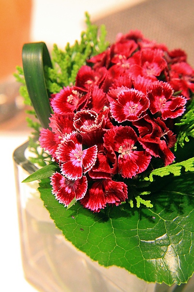 AT&T 4 Fun,Liz 巴賽麗