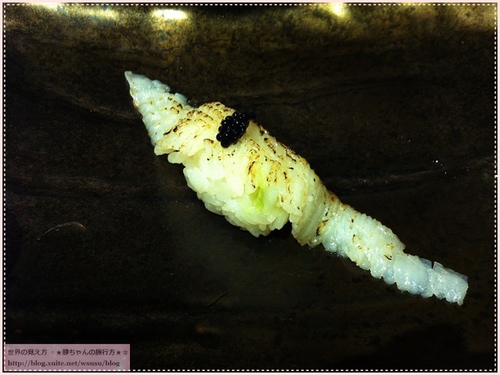 NOMENU旬鮮/鮨：201311151735★美食試吃★彡 新北市板橋‧『NOMENU旬鮮/鮨』無菜單的創意日式料理