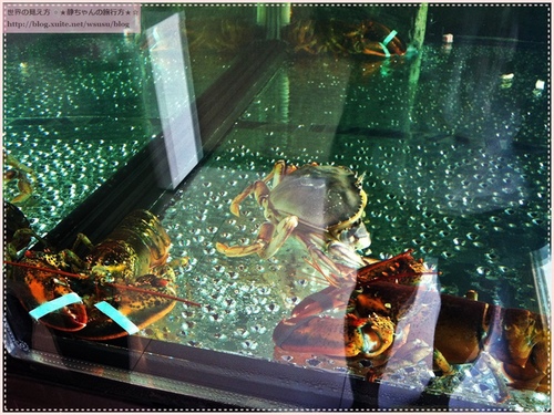 NOMENU旬鮮/鮨：201311151735★美食試吃★彡 新北市板橋‧『NOMENU旬鮮/鮨』無菜單的創意日式料理