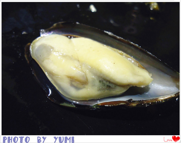 鍋神日式涮涮鍋(台中逢甲旗艦店):【愛評口碑券♥第二十六彈】活跳跳蝦子大呼鍋癮♥頂級海鮮撫慰你的胃@鍋神日式涮涮鍋(台中逢甲旗艦店)