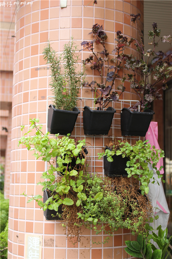 Padano帕達諾義廚:帕達諾義廚✪義式正統美食×家的氛圍~好吃推~103.08.15