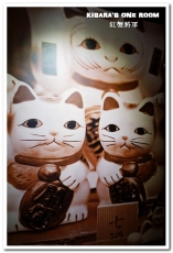 紅蟹將軍吃到飽(台北忠孝店):國父紀念館帝王蟹吃到飽.真正吃飽飽喝爽爽的高檔精緻鍋物──紅蟹將軍