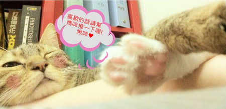 六廚川湘菜館：(試)♥吃吧~台北ღ大安區♥♬免開瓶費♬白飯殺手!!平價川式美味!!☆六廚川式料理☆(捷運、川菜、老店、熱炒)