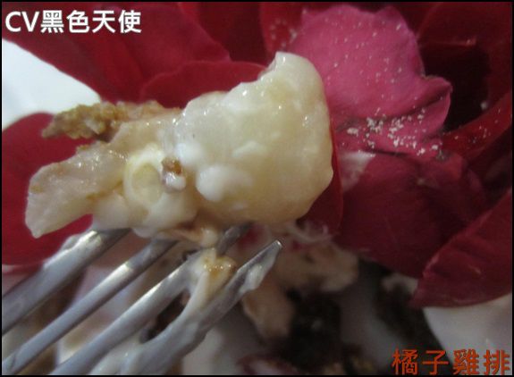 CV黑色天使蛋糕精品店