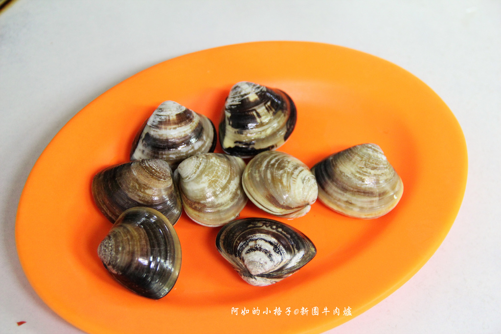 新園牛肉爐 (12).JPG