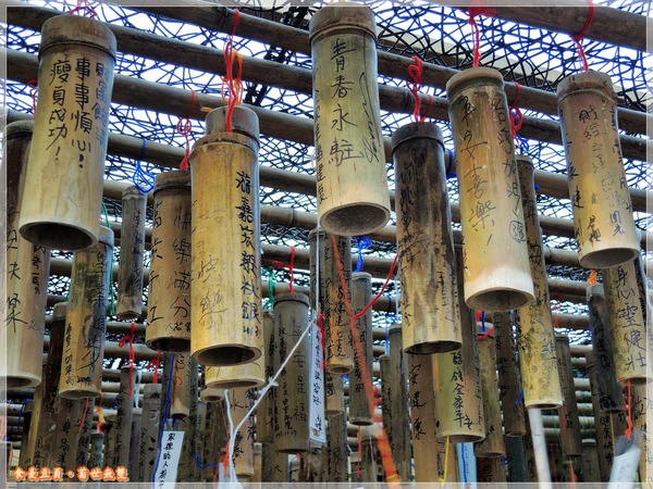 2013士林官邸菊展「菊世無雙」：『台北。展覽』【2013士林官邸菊展：菊世無雙】原來菊花也能這麼美