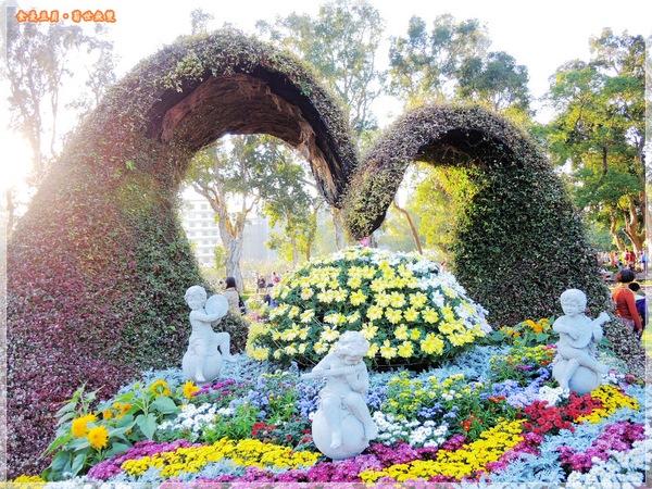 2013士林官邸菊展「菊世無雙」：『台北。展覽』【2013士林官邸菊展：菊世無雙】原來菊花也能這麼美