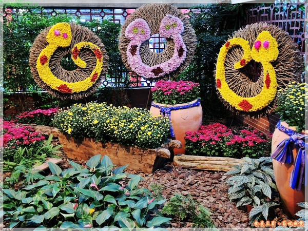 2013士林官邸菊展「菊世無雙」：『台北。展覽』【2013士林官邸菊展：菊世無雙】原來菊花也能這麼美