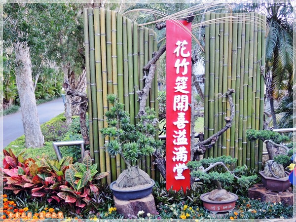 2013士林官邸菊展「菊世無雙」：『台北。展覽』【2013士林官邸菊展：菊世無雙】原來菊花也能這麼美