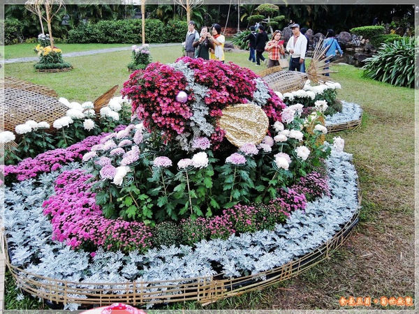 2013士林官邸菊展「菊世無雙」：『台北。展覽』【2013士林官邸菊展：菊世無雙】原來菊花也能這麼美