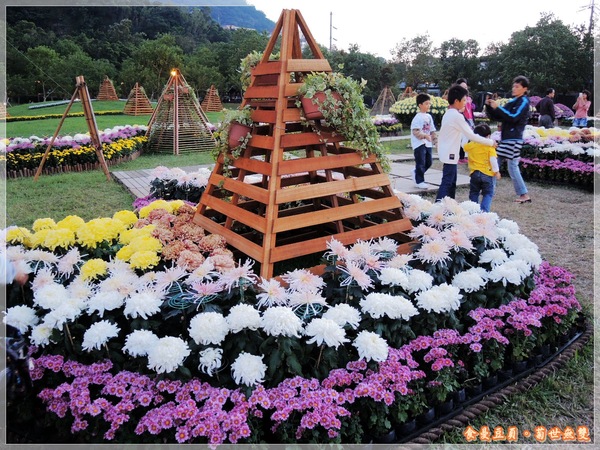 2013士林官邸菊展「菊世無雙」：『台北。展覽』【2013士林官邸菊展：菊世無雙】原來菊花也能這麼美