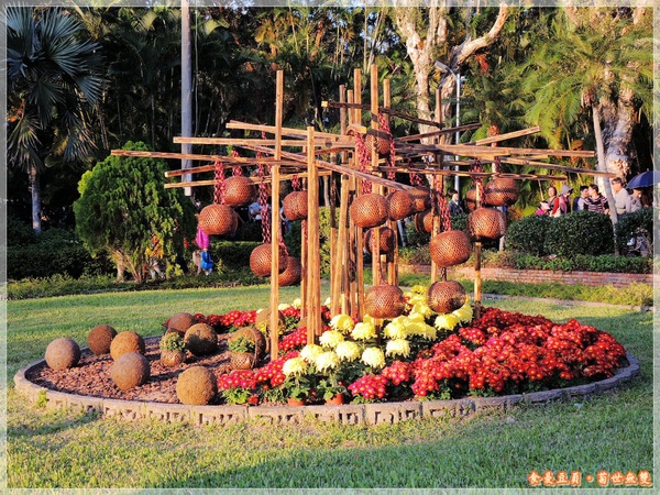 2013士林官邸菊展「菊世無雙」：『台北。展覽』【2013士林官邸菊展：菊世無雙】原來菊花也能這麼美